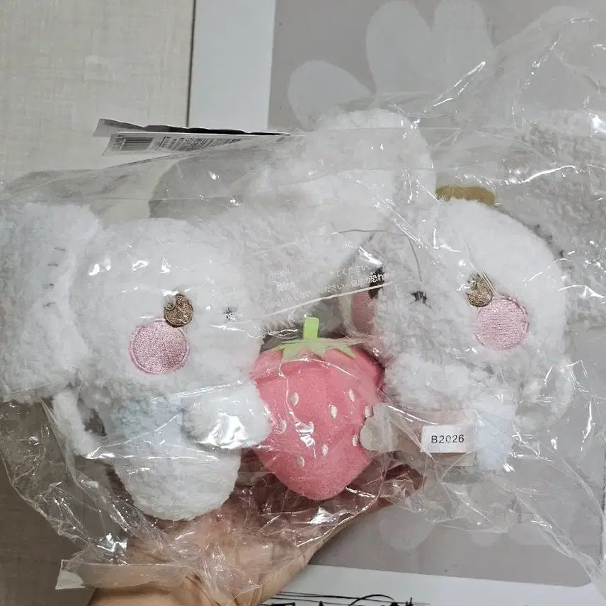 [BUNJANG] Pokemon Dori-jwi Strawberry Edition Plush / 포켓몬스터 두리쥐 신상 스트로베리 포켓피스 신제품