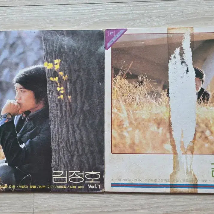 [BUNJANG] Kim Jeong Ho 2nd Album Vinyl Record / 김정호 lp