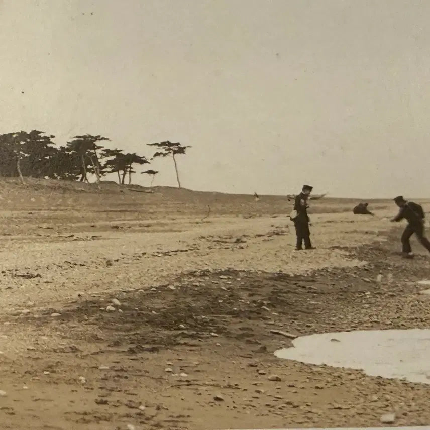 [BUNJANG] 1920s Miho-no-Matsubara Panorama Photograph - Historical Japanese Landmark / 1920년 - 일본 시즈오카현의 명승지 - 미호노마쓰바라 파노라마 사진