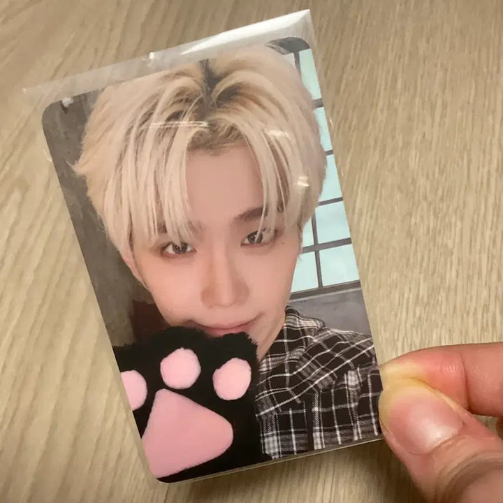 [BUNJANG] ZB1 Kim Taerae Lucky Draw Photocard (Here&amp;Now Cat Version) / 급처가) 제베원 김태래 태래 막콘 포카 미공포 고양이 here&amp;now