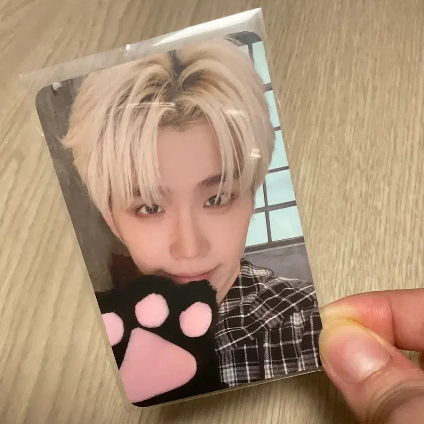 [BUNJANG] ZB1 Kim Taerae Lucky Draw Photocard (Here&amp;Now Cat Version) / 급처가) 제베원 김태래 태래 막콘 포카 미공포 고양이 here&amp;now