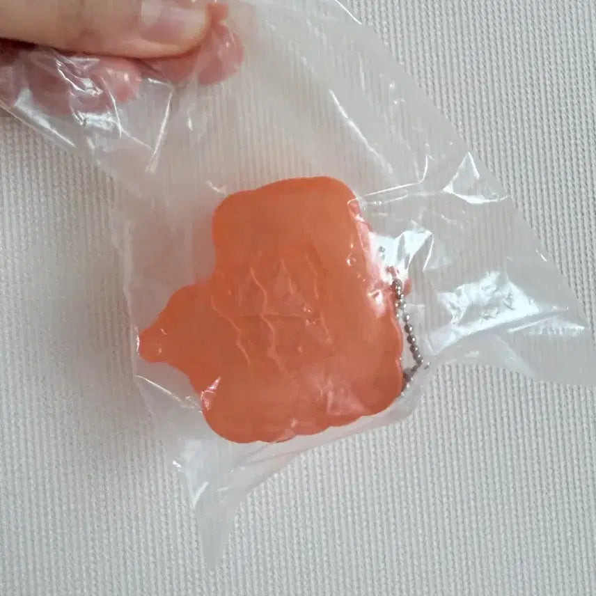 [BUNJANG] Human Organ Shaped Pill Case (Large Intestine) / 인체장기모양 알약케이스 가챠- 옵션:장 판매합다