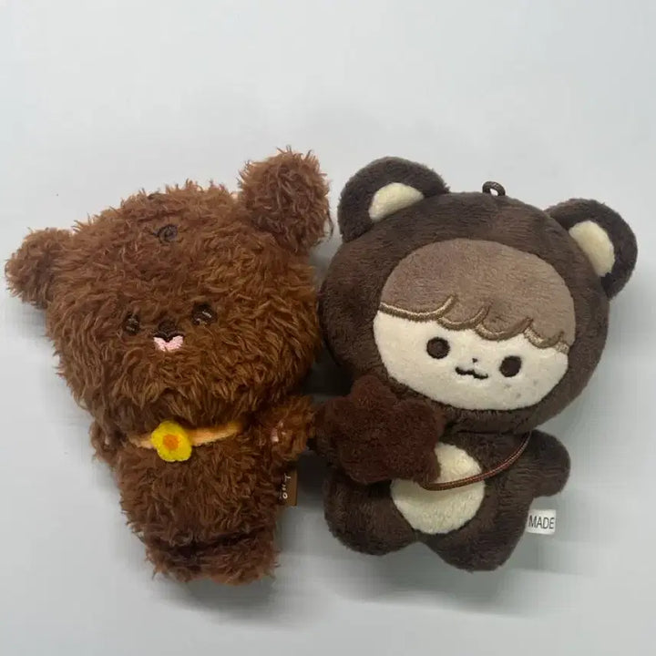 [BUNJANG] NCT Haechan Bear Plush Bundle Set / 급처) 엔시티 곰효기 솜뭉칠 해푸 일괄 판매