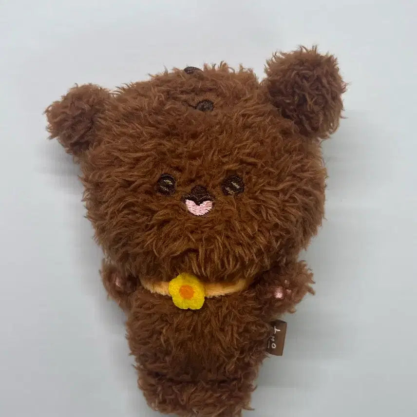 [BUNJANG] NCT Haechan Bear Plush Bundle Set / 급처) 엔시티 곰효기 솜뭉칠 해푸 일괄 판매