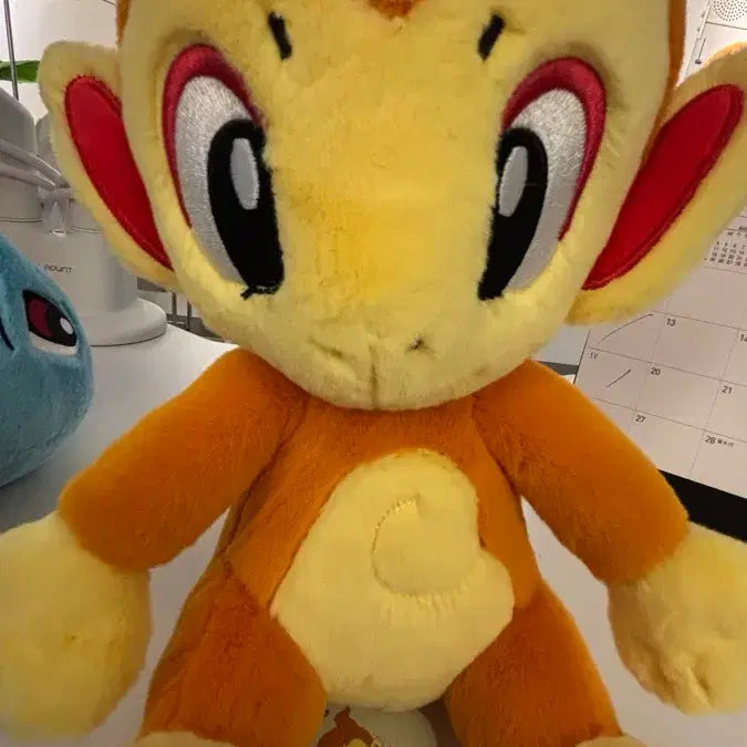 [BUNJANG] New Flamey 20cm Plush Doll / 신상품 포켓몬스터 30주년 불꽃숭이 20cm 봉제인형 (방금 뽑은 새상품)