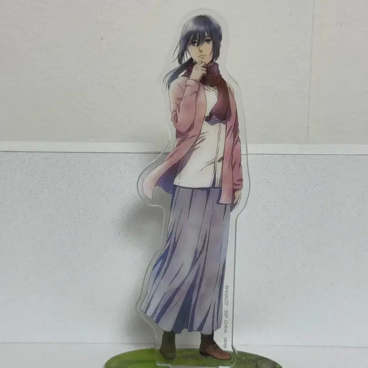 [BUNJANG] Attack on Titan Mikasa Ackerman Framed Acrylic Stand Bundle / [진격의 거인] 미카사, 액자 아크릴 스탠드 일괄 (단순전시)