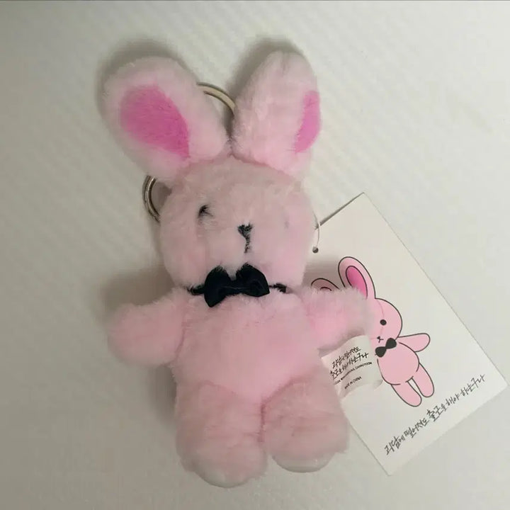 [BUNJANG] Ghost Story Commute Kind Friend Brown Plush Keychain / 괴담출근 착한친구 브라운 인형 키링 양도 판매 괴출