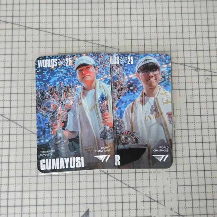 [BUNJANG] MSI Guma &amp; Owner Photocard / MSI 구마+오너포토카드