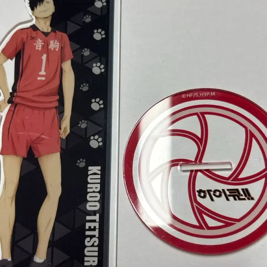[BUNJANG] Haikyuu!! Tetsuro Kuroo Acrylic Stand / 하이큐 쿠로오 테츠로 아크릴 스탠드