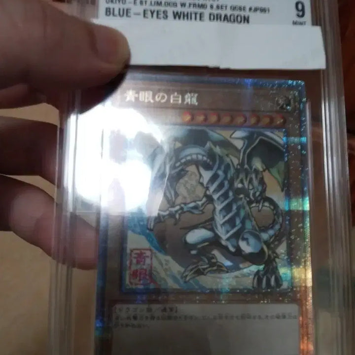 [BUNJANG] Yu-Gi-Oh! Blue-Eyes White Dragon 25th Anniversary Ukiyo-e Quarter Century Grading 9 / 유희왕 푸른눈의백룡 25주년 쿼싴 우키요에 BRG 9