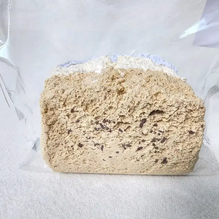 [BUNJANG] Hahajing Malangi 3-Tier Toast / 말랑이 Hahajing 하하징 3단 토스트