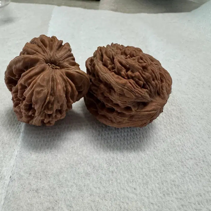 [BUNJANG] Natural Walnut Massage Balls (33-34mm) - Set of 2 / 할30%중 천연 자연 호두 2알 (33~34mm)지압 볼 가래 손마사지(새상품)