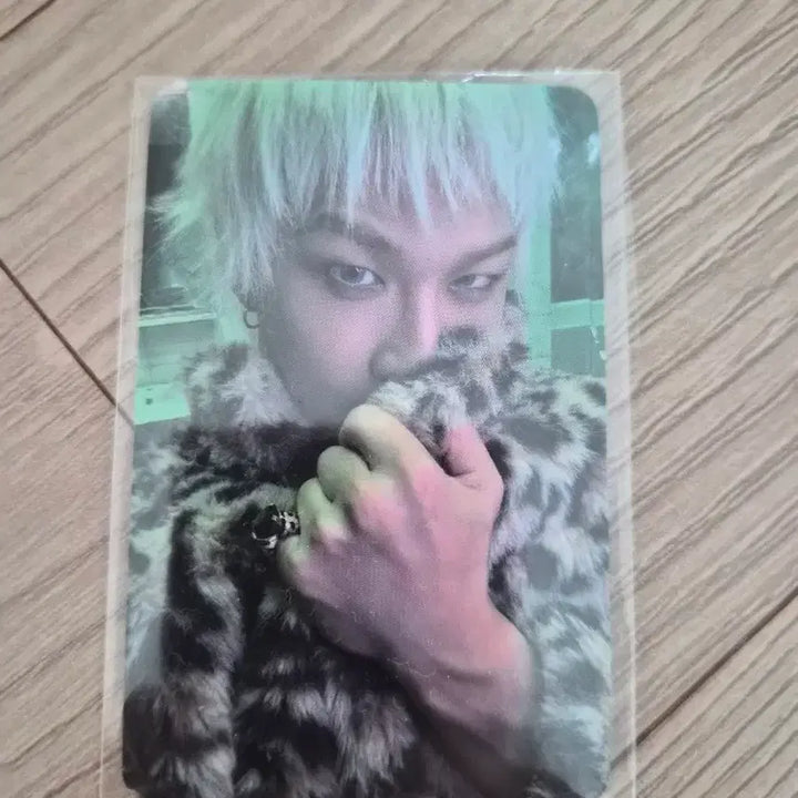 [BUNJANG] BIGBANG Taeyang "Quintessence" Leopard Print Photocard / 빅뱅 태양 포카 포토카드 퀸터센스 호피