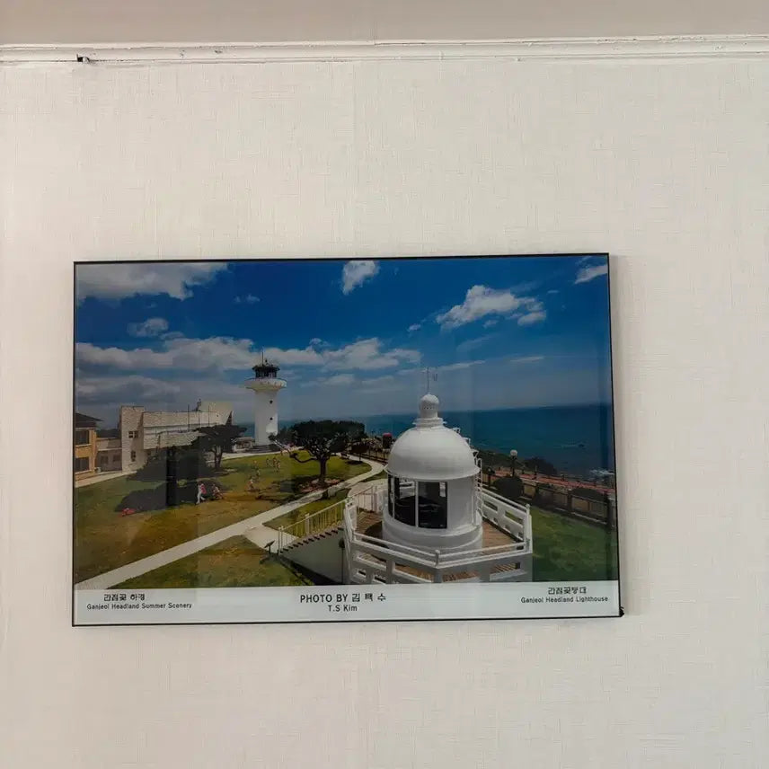 [BUNJANG] Kim Taek Soo Seagull at Ganjeolgot Lighthouse Framed Print / 사진작가 김택수, 간절곶등대