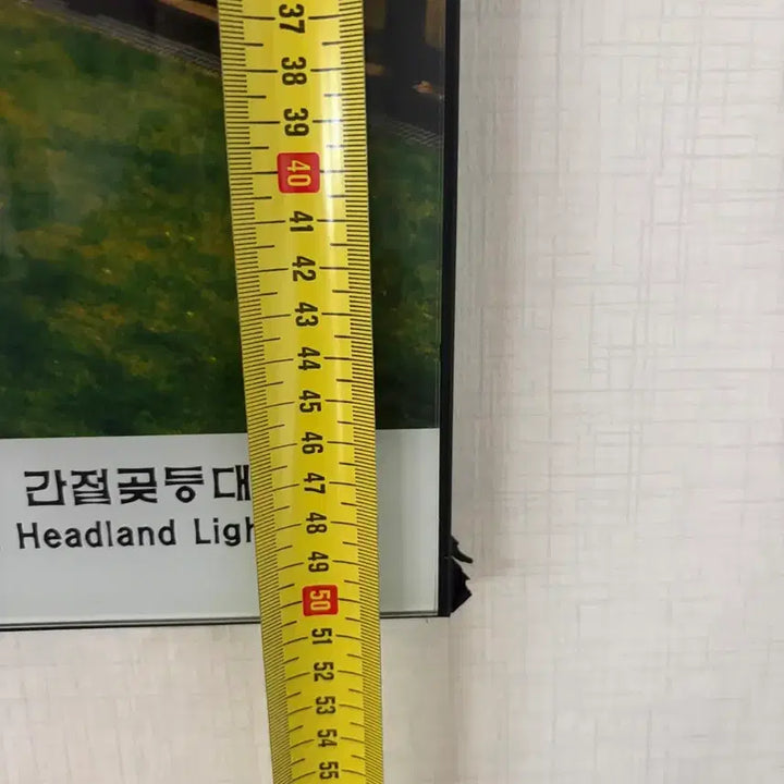 [BUNJANG] Kim Taek Soo Seagull at Ganjeolgot Lighthouse Framed Print / 사진작가 김택수, 간절곶등대