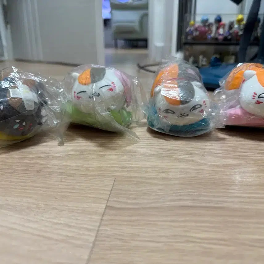 [BUNJANG] Natsume&