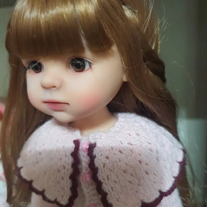 [BUNJANG] Paola Reina Doll Custom Modification / 파올라레이나 리페성형 인형2