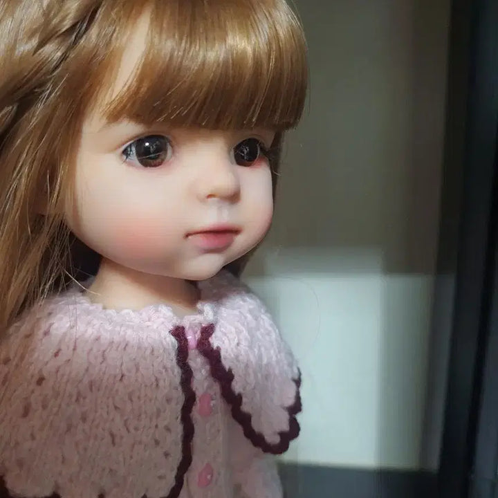 [BUNJANG] Paola Reina Doll Custom Modification / 파올라레이나 리페성형 인형2