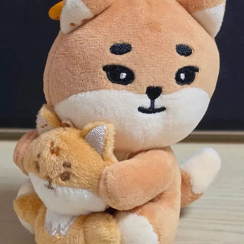 [BUNJANG] DAY6 Denimals Magnet Plush Set / 데이식스 데니멀즈 마그넷 플러시 세트 케