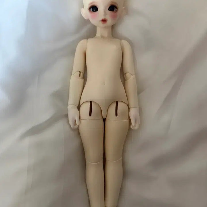 [BUNJANG] ChikaBi ChikaBonita Angpang Kitty Doll / 구체관절인형 치카비 치카보니타 앙팡 키티