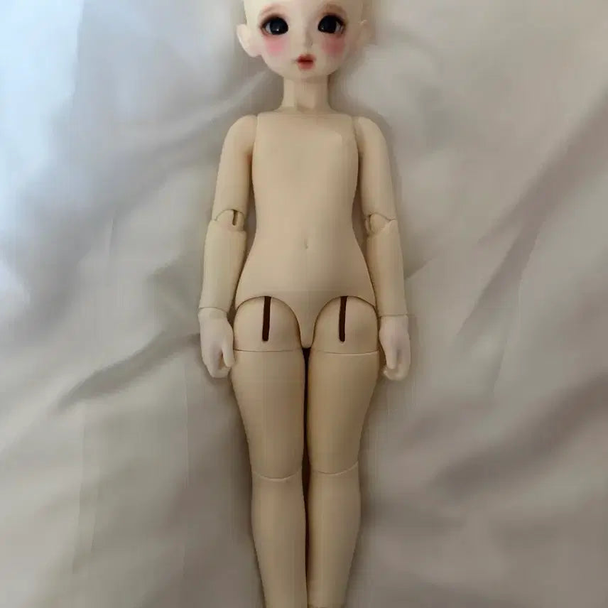 [BUNJANG] ChikaBi ChikaBonita Angpang Kitty Doll / 구체관절인형 치카비 치카보니타 앙팡 키티