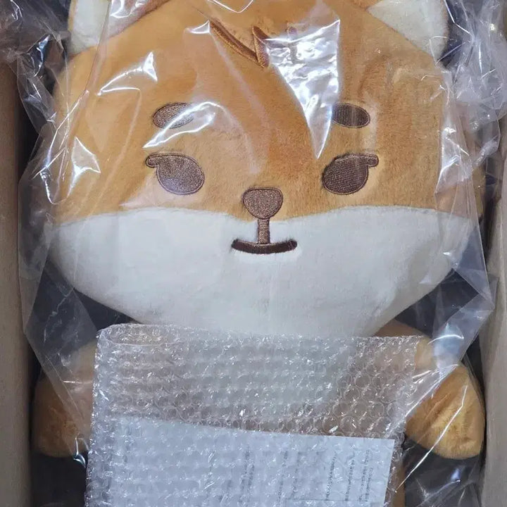 [BUNJANG] Day6 Young K Giant Petit Merz Bundle Set / 데이식스 자이언트 쁘띠멀즈 영케이