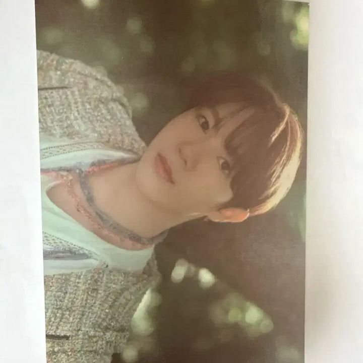 [BUNJANG] NCT WISH Songbird Album / NCT WISH 엔시티위시 송버드 앨범