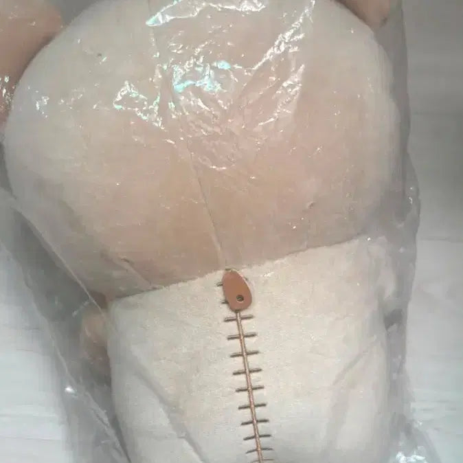 [BUNJANG] Rilakkuma Plush Toy / 리락쿠마 인형 새상푸