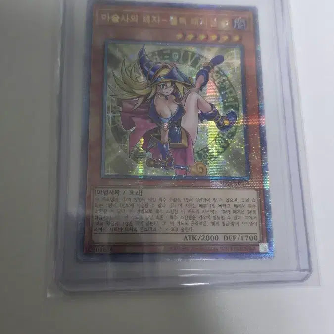 [BUNJANG] Apprentice of the Master Magician - Black Magician Girl (Gold Rare) / 마술사의제자 블랙매지션걸(금궤걸)쿼싴