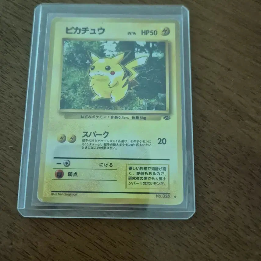 [BUNJANG] Jungle Pikachu (First Edition) - Rear Back / 구뒷면)초판 정글피카츄 팝니다
