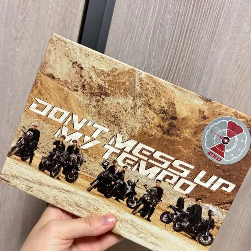 [BUNJANG] Girolo Fighter Person / 기로로파이터님
