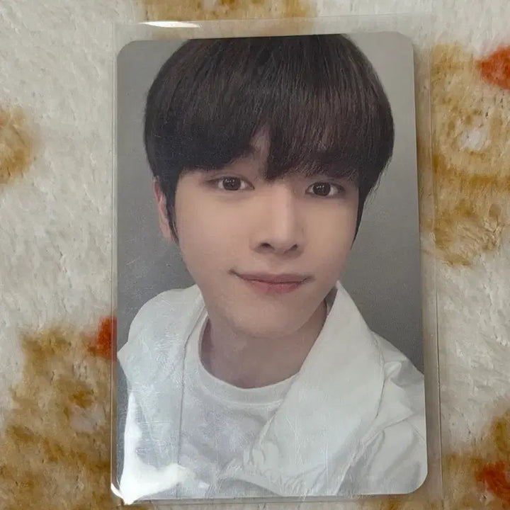 [BUNJANG] RIIZE Sungchan NCT Tattoo Sticker SM CON Photocard / 라이즈 성찬 엔시티 타투스티커 수원 슴콘 포카