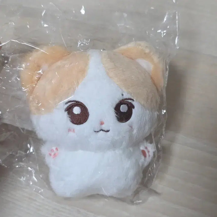 [BUNJANG] ENHYPEN Heeseung Evan Doll / 희스터 희승 에반 인형
