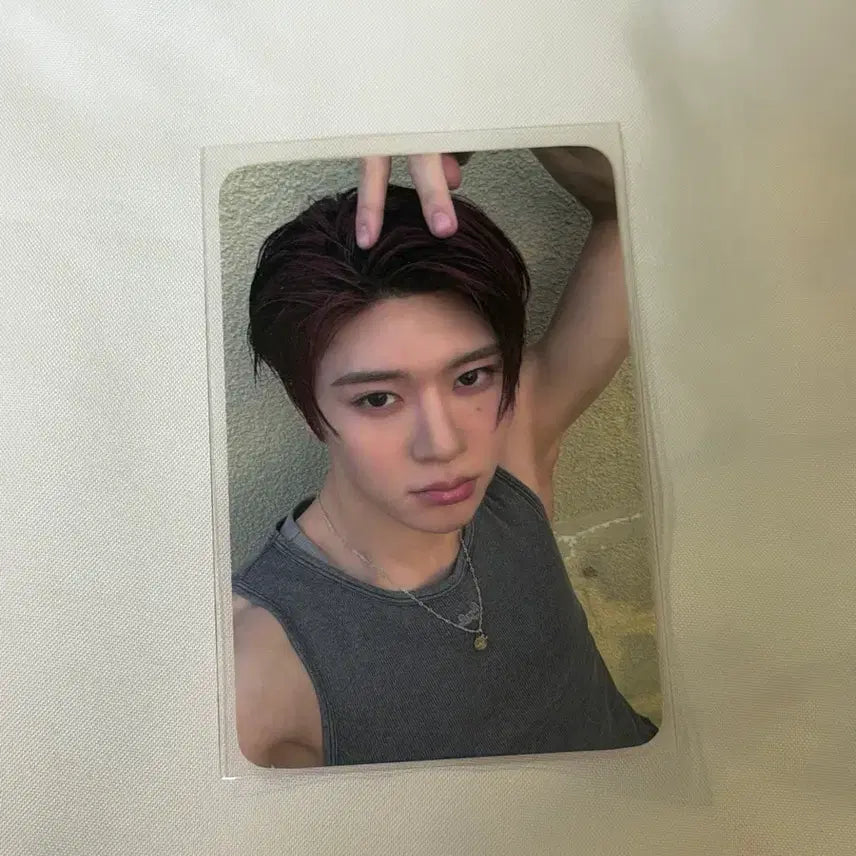 [BUNJANG] NCT WISH Sion Photocard / 엔시티위시 nct wish 포토카드 시온