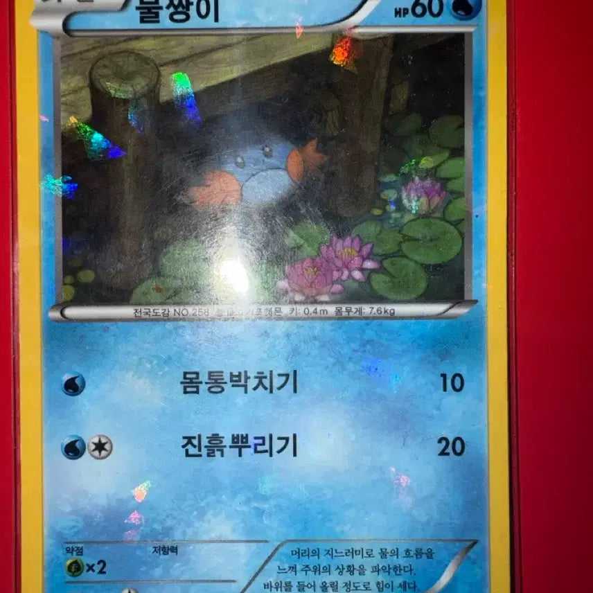 [BUNJANG] Pokemon Card Mudkip Prism Holo XY Ancient Card / 포켓몬카드 물짱이 프리즘홀로  XY 고대카드