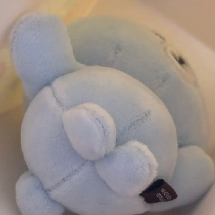 [BUNJANG] DAY6 Secret Mini Plush Sky Blue / 데이식스 시크릿 미니 플러시