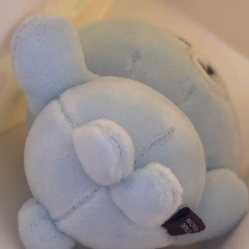 [BUNJANG] DAY6 Secret Mini Plush Sky Blue / 데이식스 시크릿 미니 플러시