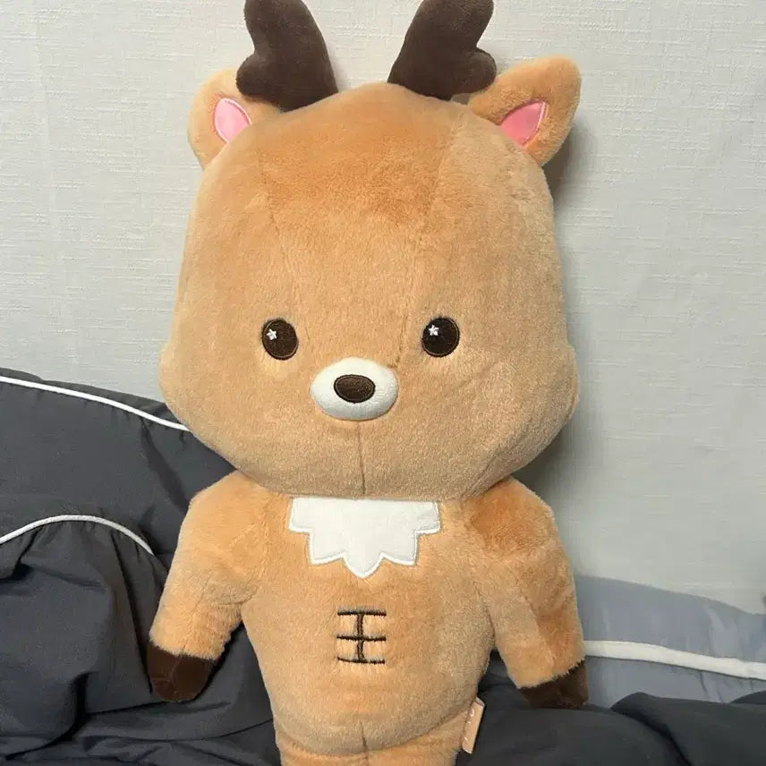 [BUNJANG] RIIZE 40cm Plush Doll / 라이즈 40센치 우락밤