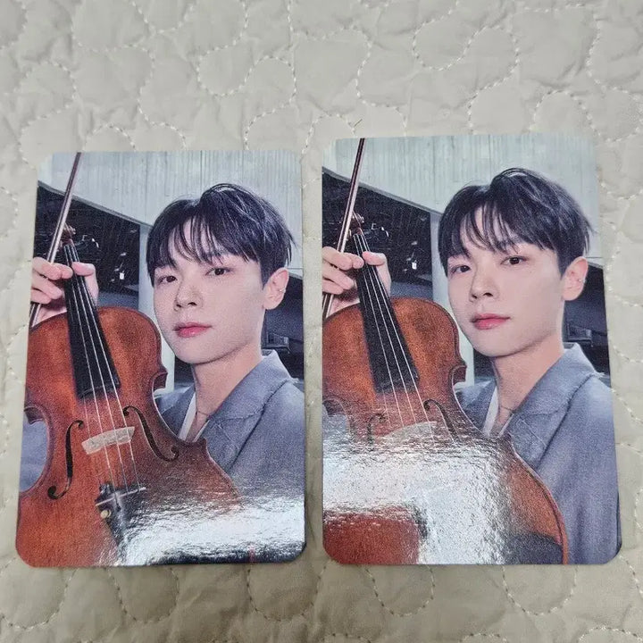 [BUNJANG] Lucy Shin Yechan Bundle Set Photocard / 일괄) 루시 신예찬 포카