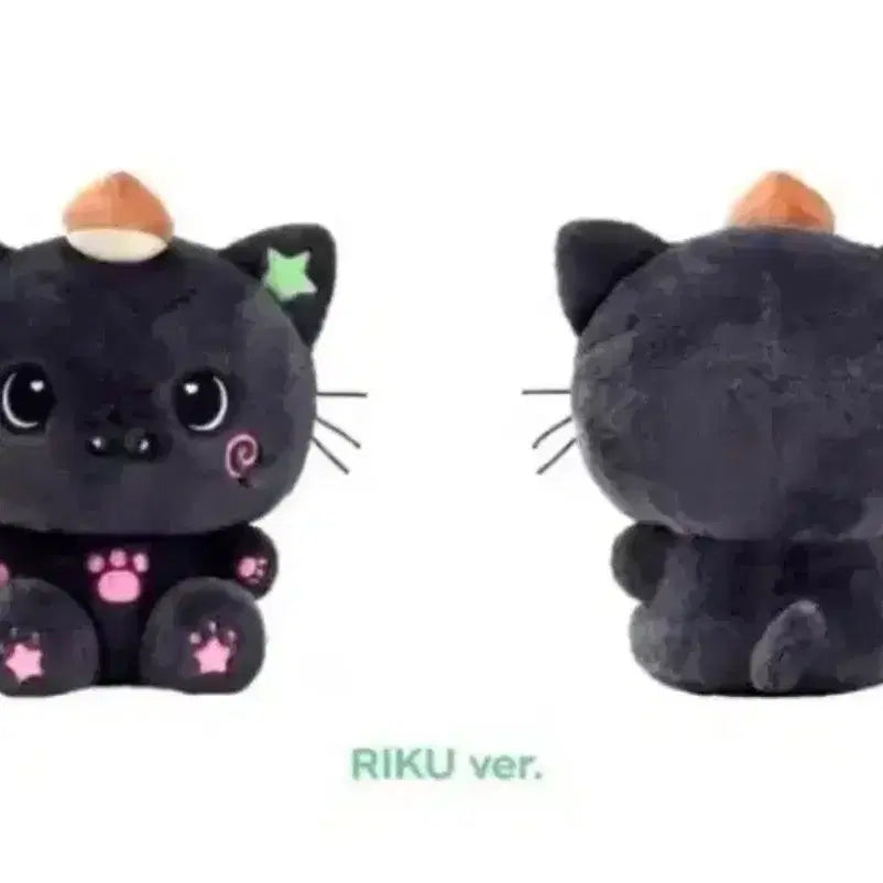 [BUNJANG] NCT WISH Riku Kuri Big Wish Doll 30cm / 엔시티위시 리쿠 쿠리 대왕 위시돌 인형 30cm 양도