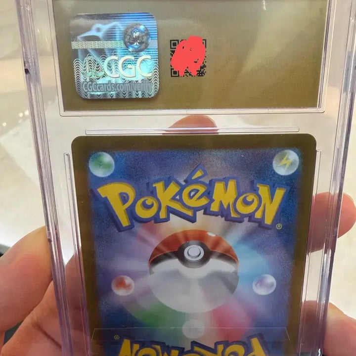 [BUNJANG] Pokemon Cynthia&