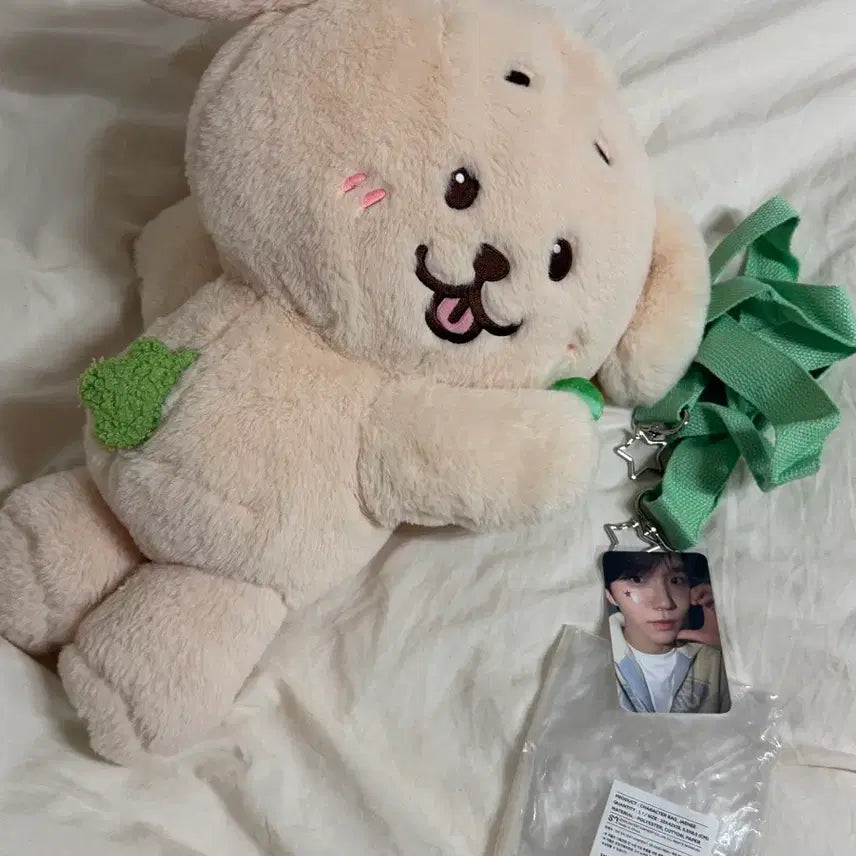 [BUNJANG] NCT WISH Jaehee Login Bag D&