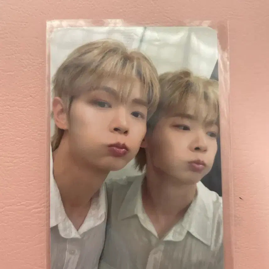 [BUNJANG] Siroo Pop-up Lucky Draw Yechan Photocard / 시루 팝업 5만원 포카 - 루시 예찬