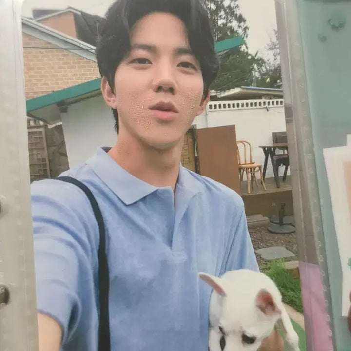 [BUNJANG] Day6 Dowoon Mundeuk Tori Photocard / 데이식스 도운 문득 토리 포카