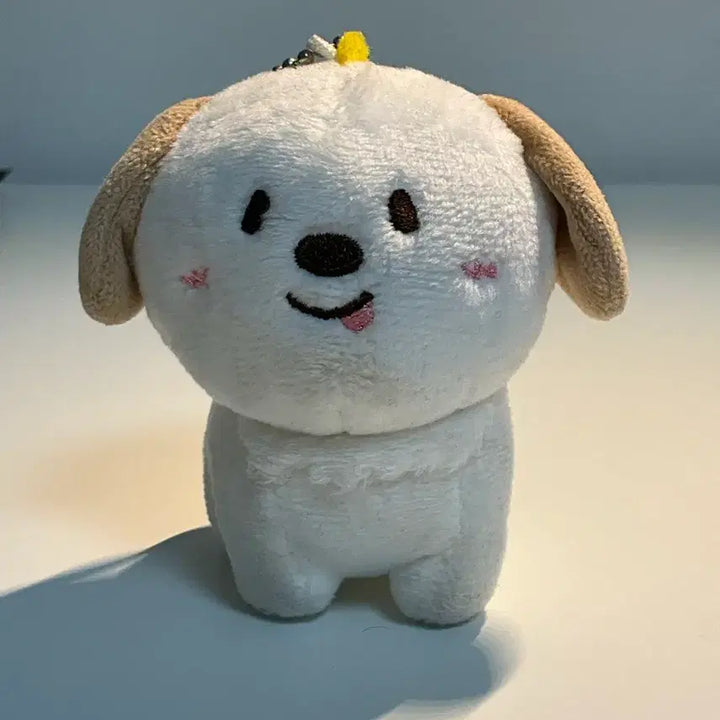 [BUNJANG] RIIZE Anton "Meongryongi" Plush / 라이즈 앤톤 멍룡이