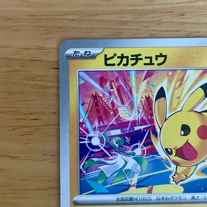 [BUNJANG] Pokemon Card Pikachu Gym Promo 133/M-P Guardian Championship / 일판 포켓몬카드 2026 피카츄 짐프로모 133/M-P 가디안 챔피언쉽