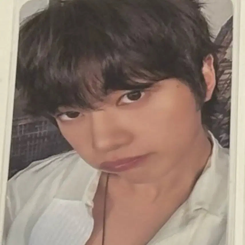[BUNJANG] ZB1 Zb1 Ascend Album Matthew Photocard / 급처)제베원 어센드Ascend- 앨범 매튜 포카 포함