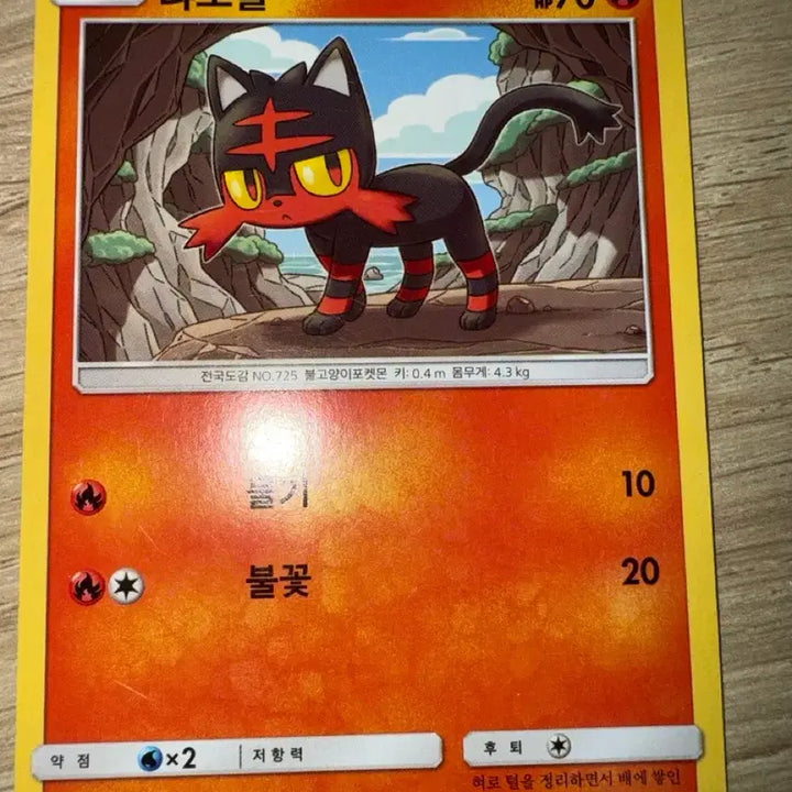 [BUNJANG] Pokemon Card - Litten (Sun &amp; Moon Ancient) SM1+ 007/051 / 포켓몬 카드 냐오불 썬문 고대 카드