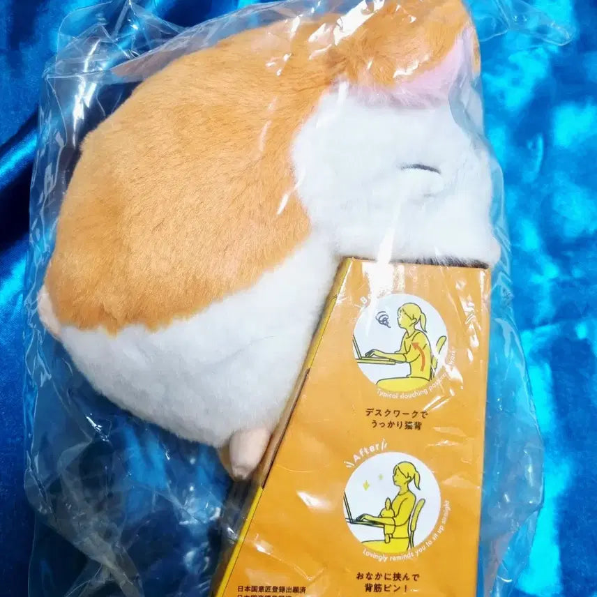 [BUNJANG] Hamtaro Hunbaruz Posture Correction Plush Doll / 방가방가 햄토리 훈바루즈 자세교정 인형