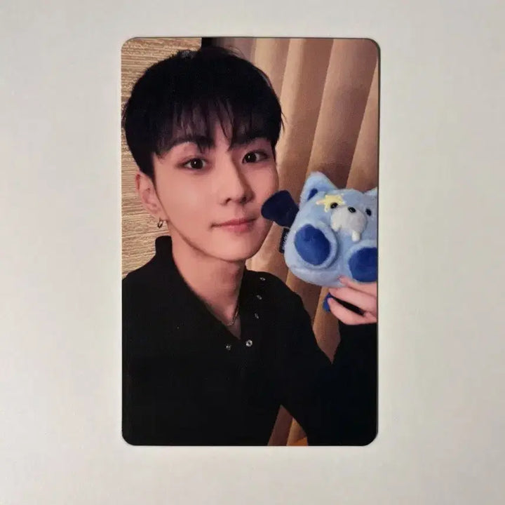 [BUNJANG] ENHYPEN Jungwon The Sin Verish Weverse Japan Universal Lucky Draw Set / 엔하이픈 정원 더씬베니쉬 위버스 재팬 유니버셜 럭키드로우 일본어 앨범